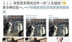 林先生最新邻居爆料,揭秘邻里间的惊人秘密